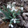 Img_20120221_134109_thumb