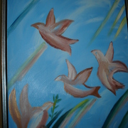 Dsc04794_card