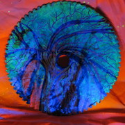 Img_2552_card