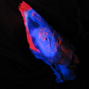 Img_2588_card