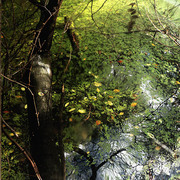 092_card