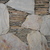 P1000060_tiny_square