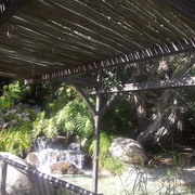 February_2012_chuckie_cheese__and_zoo_029_card