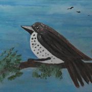 Dsc00988thrush_card