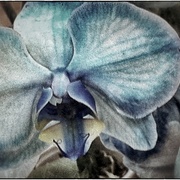 Blue2_card