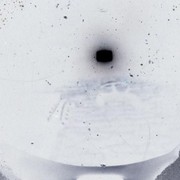 Cosmos__314x399___314x399__card