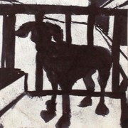 Img_7607_card