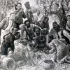 Znf079_100_4749_battle_of_quails_100x100cm_thumb