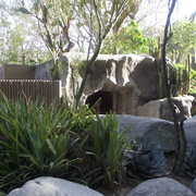 February_2012_chuckie_cheese__and_zoo_078_card