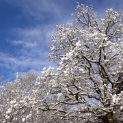 Imgp4017