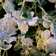 Imgp8868_card