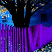Purplefence2_card
