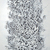 Frost_tiny_square
