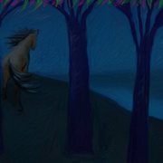 Blue_night_card