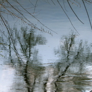 Drau_en_2009_card