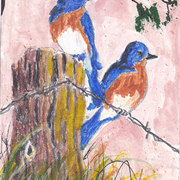 Img_0001_card