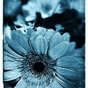 Steel_card
