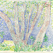 0735_c_card