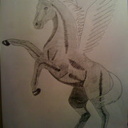 Pegasus_card