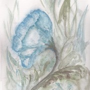 Akwarele_0001_card