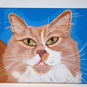Moochdone_card