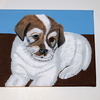 Puppydone2_thumb