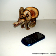 Dsc03991-1_card