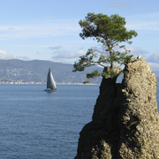 Img_2269_card