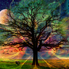 Treetrio_thumb