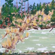 Spring__nottawasaga_river__wasaga_dunes_card