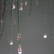 Img_2455_card