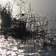 Img_2605_card
