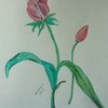 Drawings__11_x_004_thumb