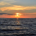 Dsc_5873_square
