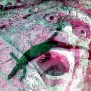Lizard_face_card