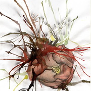 Img017_card
