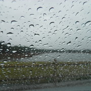 P3032445_card