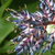 Dscf3382_tiny_square