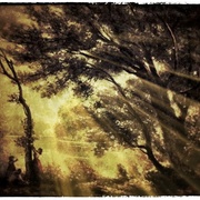 Painting_snapseed_card