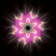 Pam_amos_-_woven_feathers_compressed_file_card