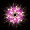 Pam_amos_-_woven_feathers_compressed_file_thumb