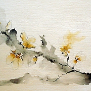 Tipa_card