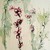 Aguaribay_tiny_square