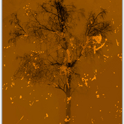 Untitled-16_card
