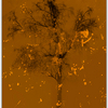Untitled-16_thumb