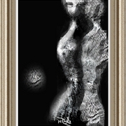 M_2net2_ny_card