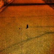 Rps20120306_014926_card