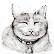 Img020_card