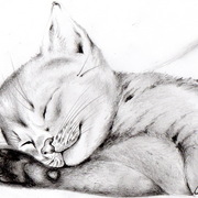 Img021_card