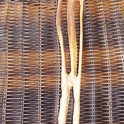 P3040019_card